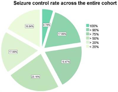Predictive factors for successful vagus nerve stimulation in patients with refractory epilepsy: real-life insights from a multicenter study